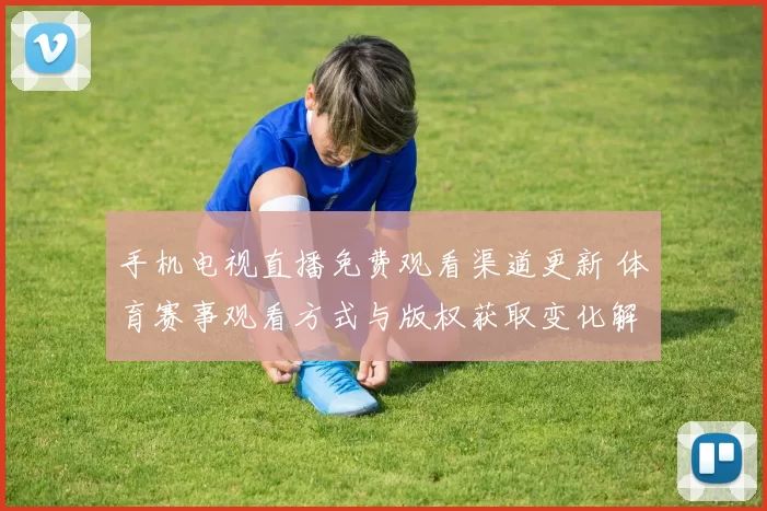 手机电视直播免费观看渠道更新 体育赛事观看方式与版权获取变化解析