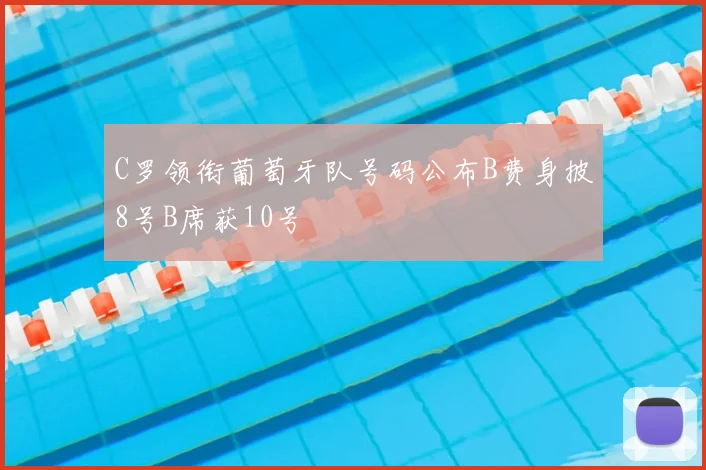 C罗领衔葡萄牙队号码公布B费身披8号B席获10号