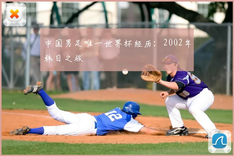 中国男足唯一世界杯经历:2002年韩日之旅