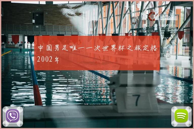 中国男足唯一一次世界杯之旅定格2002年