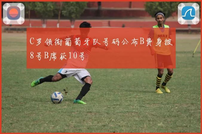 C罗领衔葡萄牙队号码公布B费身披8号B席获10号