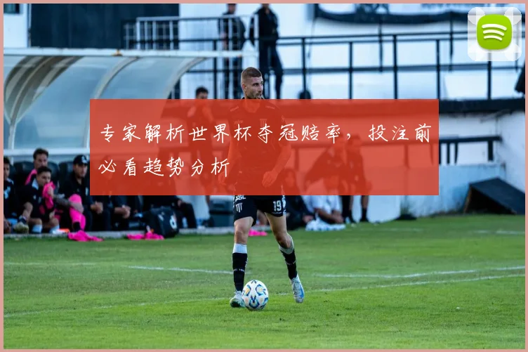 专家解析世界杯夺冠赔率，投注前必看趋势分析