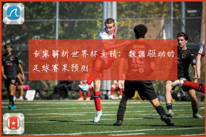 专家解析世界杯竞猜：数据驱动的足球赛果预测