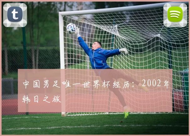 中国男足唯一世界杯经历:2002年韩日之旅
