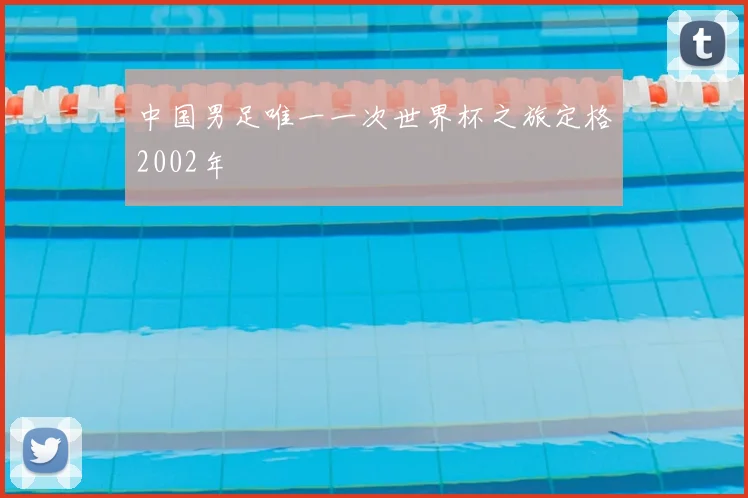 中国男足唯一一次世界杯之旅定格2002年