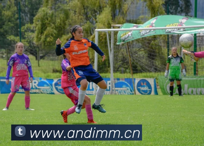 多媒体互动体验